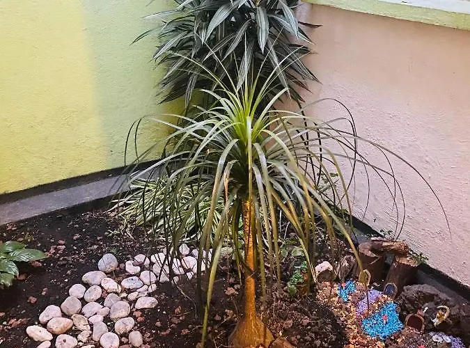 El Rincon De La Escandon *