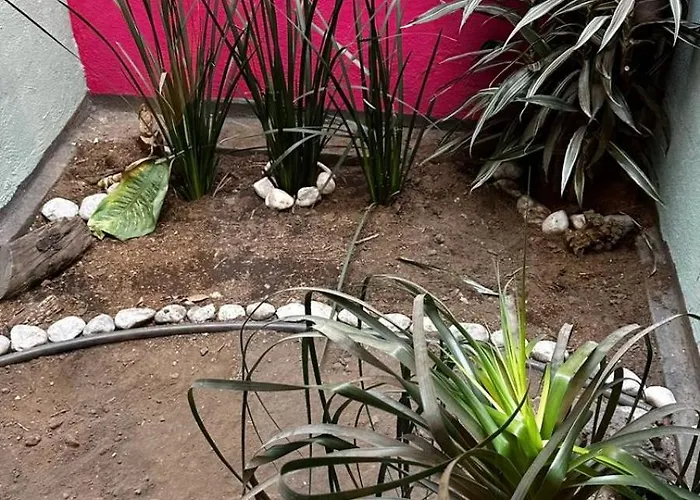 Apartamento El Rincón De La Escandón